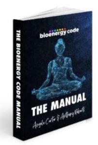 bioenergy code manual